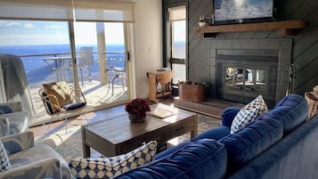 TV, fireplace, books
