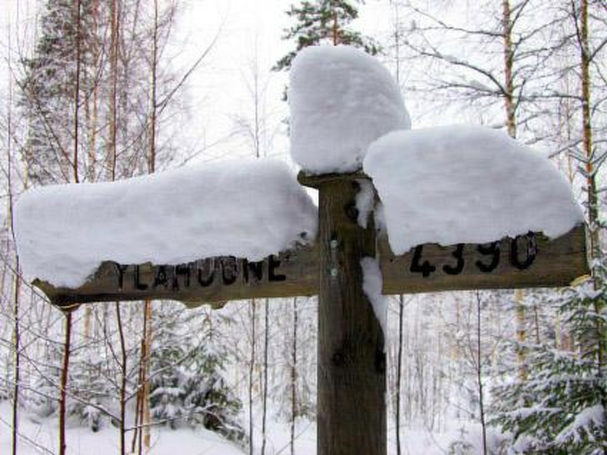 En träskylt med snötäckta vägvisare, omgiven av en snöig skog.