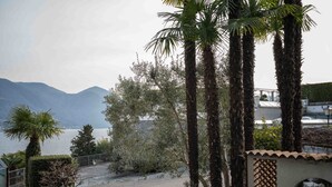 A coastal view with palm trees, a stone pathway, and a mountain in the background.