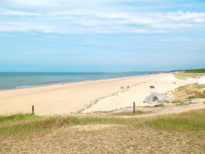 Une vaste plage de sable fin dont la pente douce descend vers l’eau, quelques personnes dispersées le long du rivage et un cheval près du bord de l’eau.