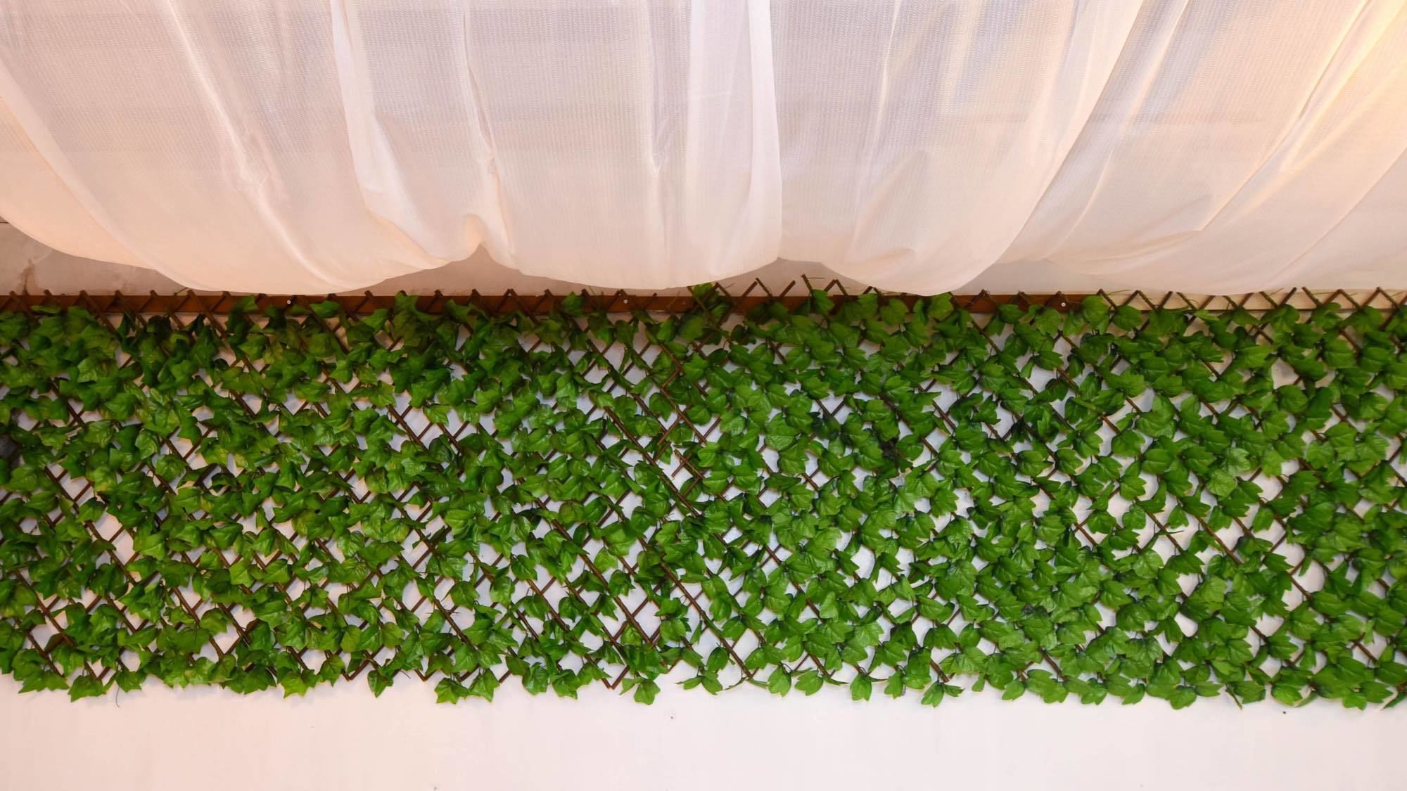 A room with a white curtain and a green leafy wall decoration.