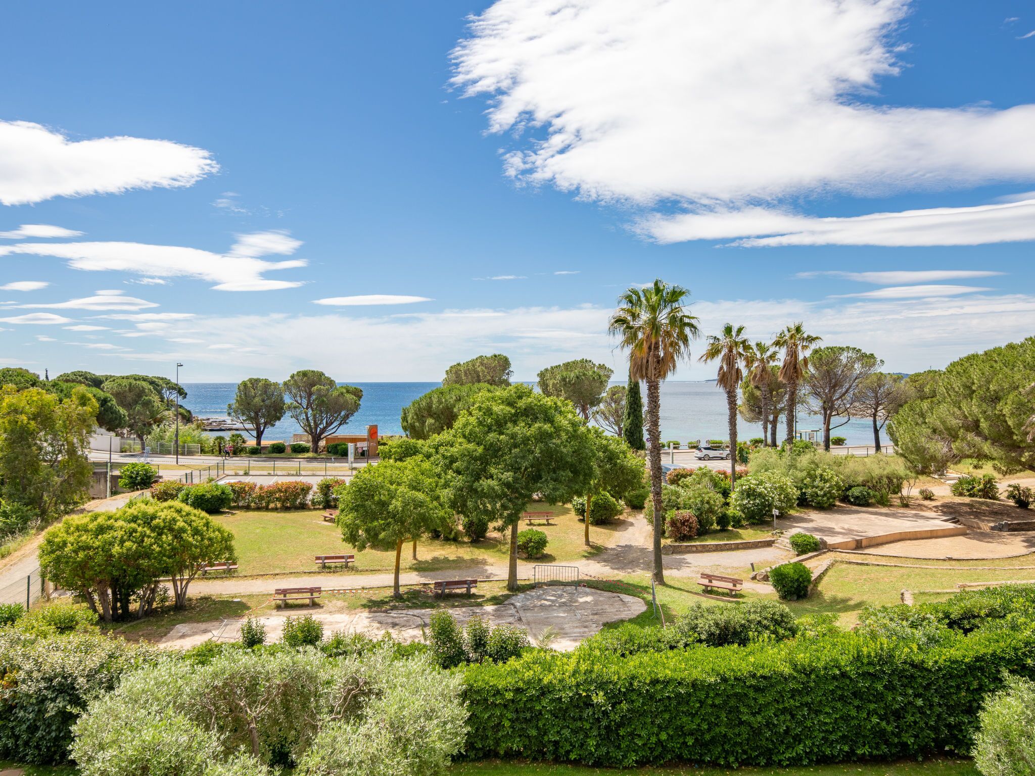 A coastal park with palm trees, benches, and a clear view of the sea.