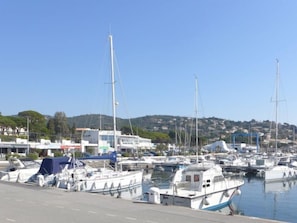 Marina com vários barcos atracados, céu claro e edifícios ao fundo.