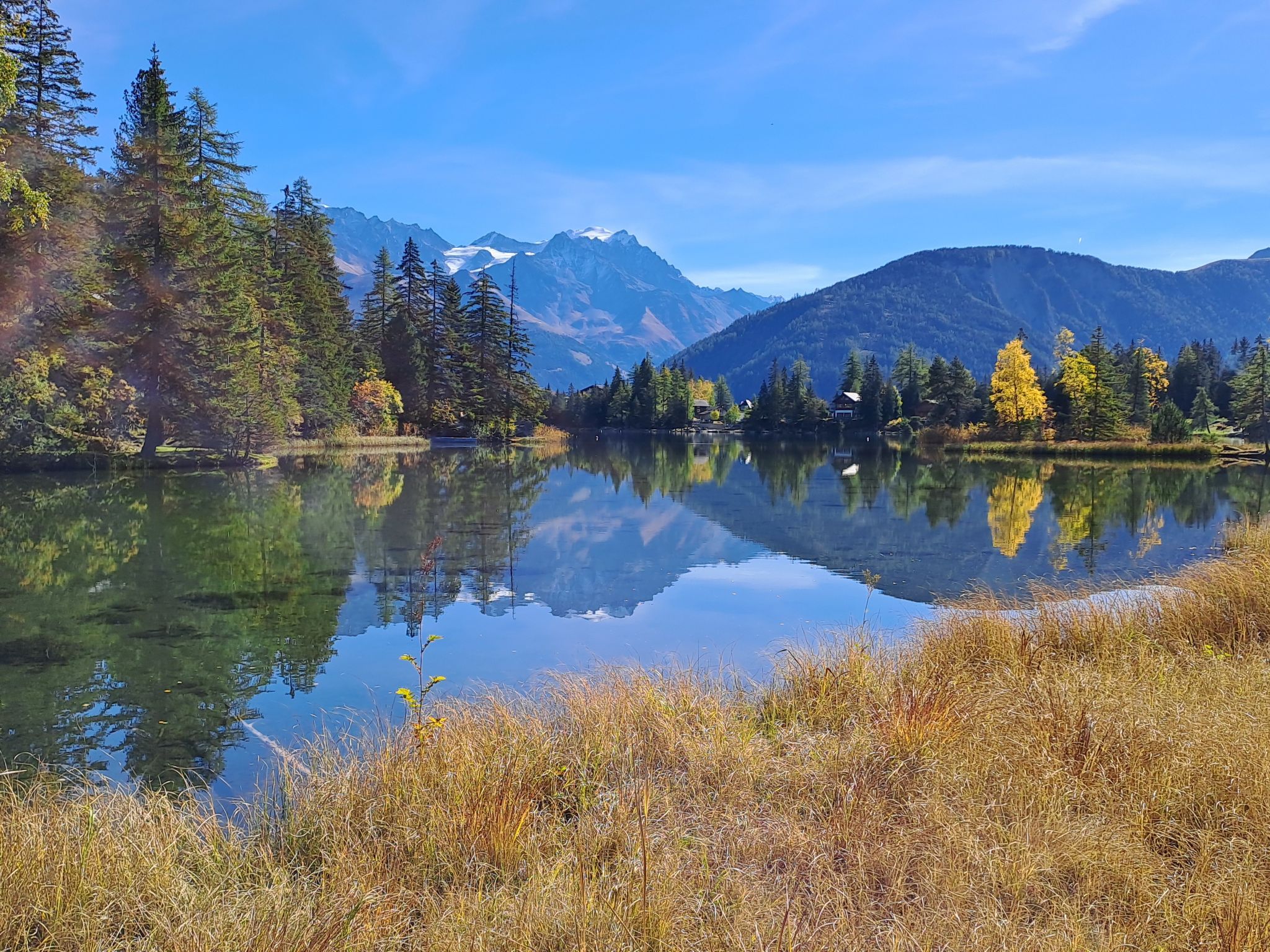 A calm lake with reflections of trees and mountains, surrounded by a forest and a mountain range.