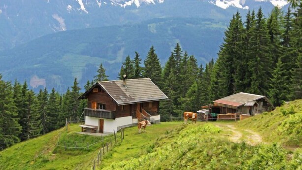 A mountain cabin with a wooden exterior, a balcony, and a cow grazing nearby. - Wassertheureralm by Interhome (Dellach)