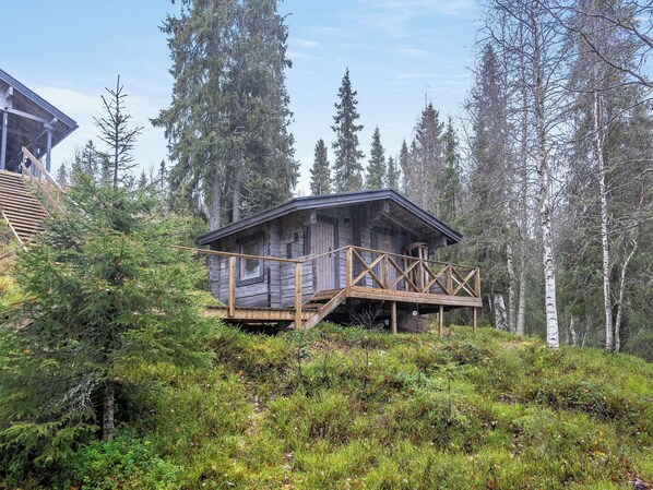 Una baita di legno con veranda, immersa in una fitta foresta e circondata da alberi alti.