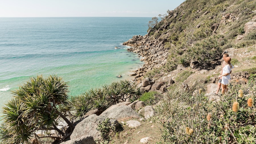 Salt at South West Rocks