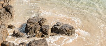 Salt at South West Rocks