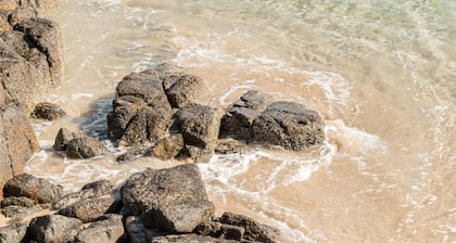 Salt at South West Rocks