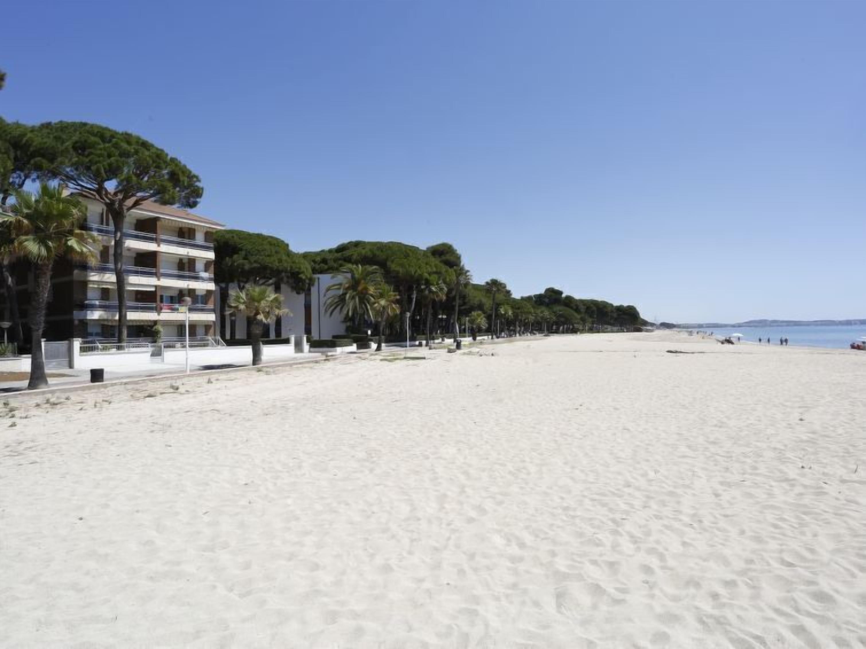 A beach with a row of palm trees and a building with balconies.
