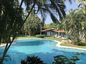 Outdoor pool, pool umbrellas, pool loungers