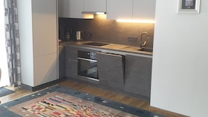 A compact kitchen with grey cabinets, a stainless steel sink, and a built-in oven. - Edelweiss by Interhome (Werfenweng)