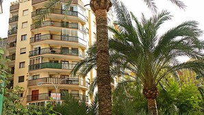 A multi-story residential building with balconies, surrounded by palm trees. - Playsol by Interhome (Calpe/Calp)