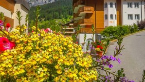 A mountain-view hotel with balconies overlooking a valley, surrounded by vibrant flowers. - Apartment A01 by Interhome (Leukerbad)