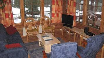 Tv, eldstad och dvd-spelare