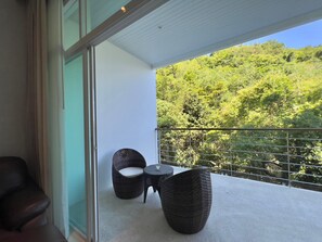 Standard Apartment, 1 Bedroom, Terrace, Mountain View | Living area | TV, DVD player