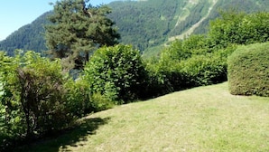 Une colline verdoyante, couverte d’arbres denses, avec une montagne en arrière-plan.