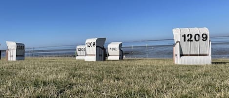 靠近海滩