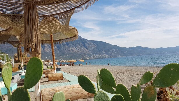 A beachside cafe with wooden tables and chairs, cactus plants, and a view of the sea and mountains. - Verga Apartments & Suites (Kalamata)