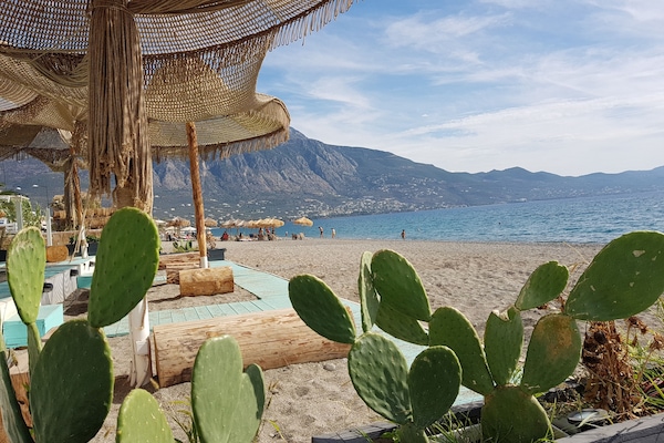Appartement, vue mer | Vue sur la plage/l’océan