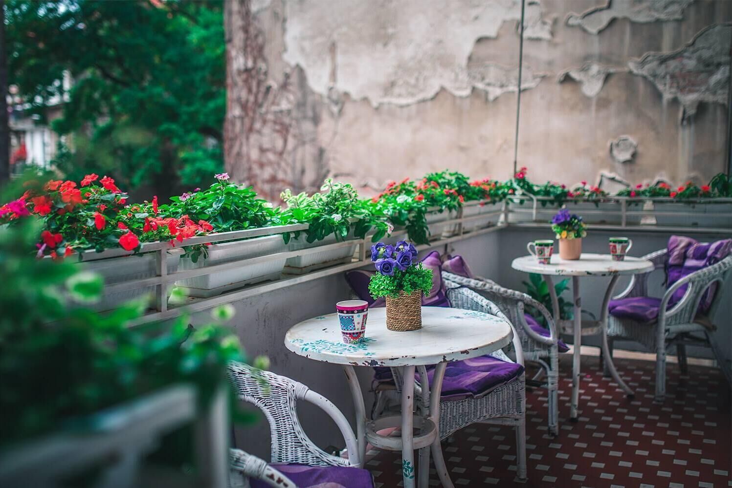 Photo - Hostel Beogradjanka