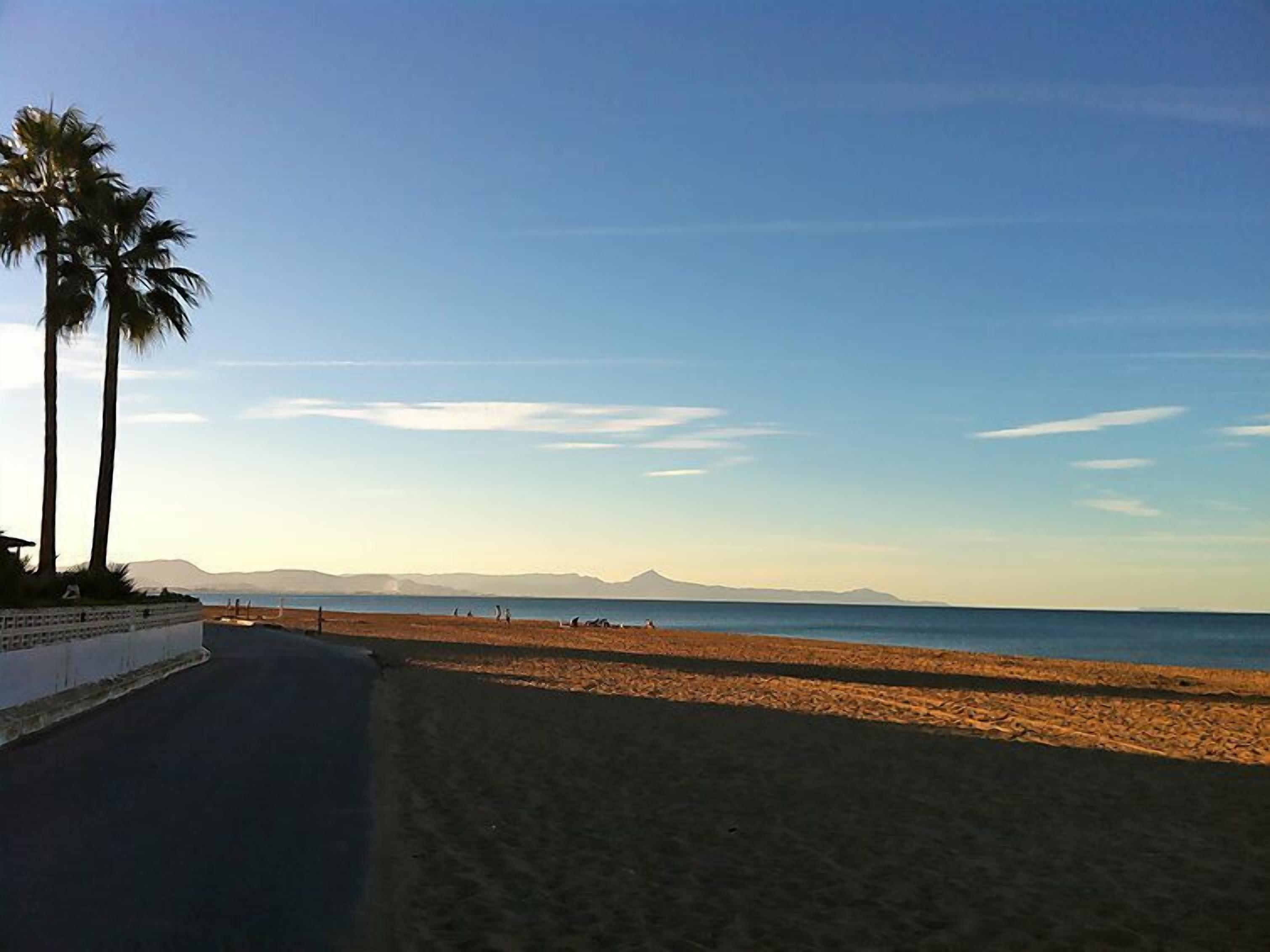 Ein Strand mit blauem Himmel, Palmen und einem entfernten Gebirge.