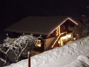 Exterior - Chalet Bärgsunna by Interhome (Grindelwald)