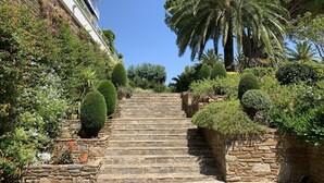 A stone staircase leading up to a building with a balcony, surrounded by lush greenery and palm trees. - Le Grand Pavois by Interhome (Cavalaire)