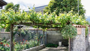 A garden with a pergola covered in climbing plants, a stone wall, and a tiled patio area. - Tre G OG by Interhome (Solduno)