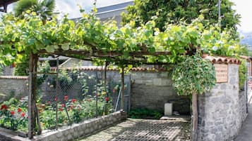 Parco della struttura