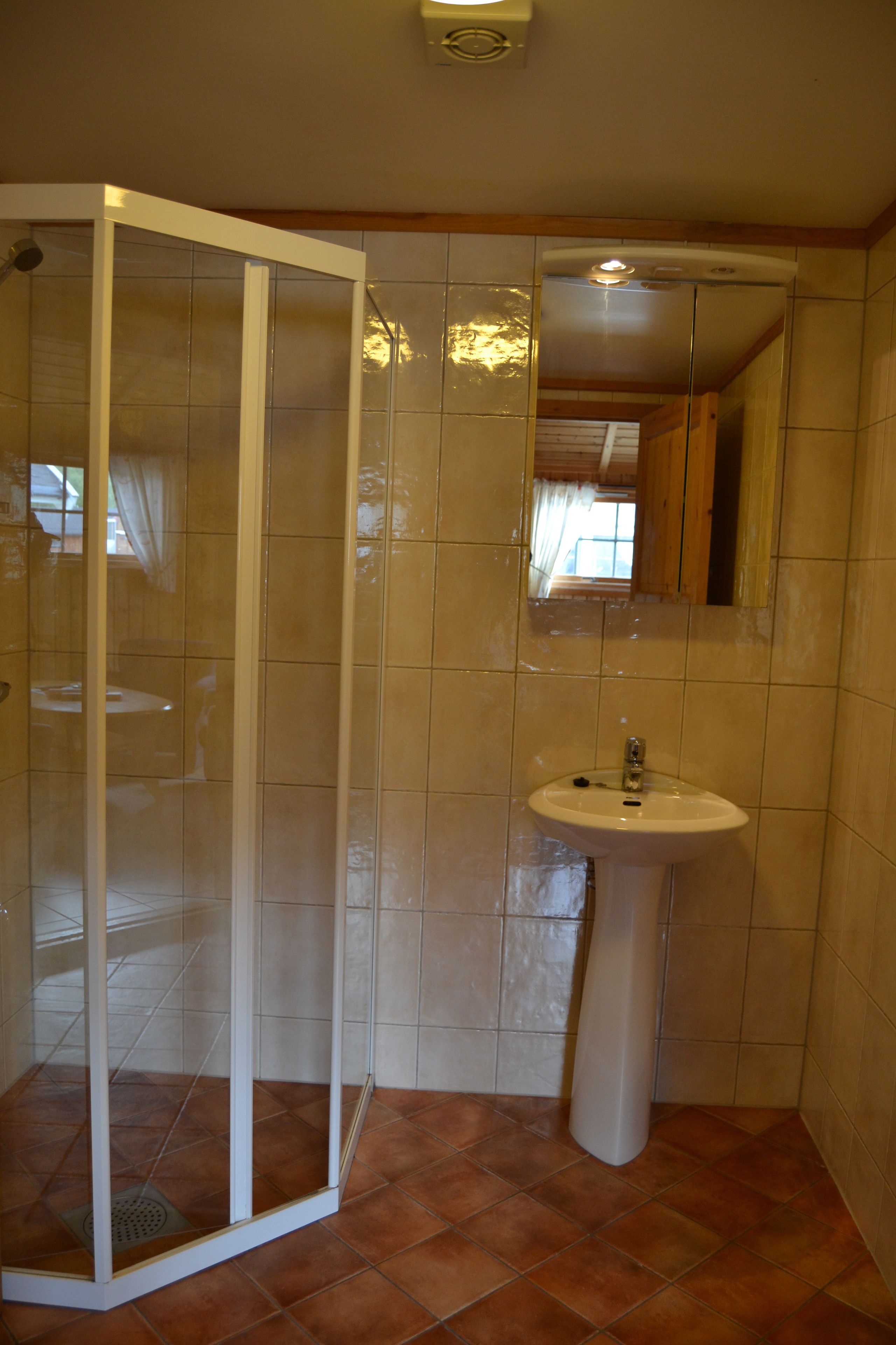 A bathroom with a shower enclosure, a sink, and a mirror.