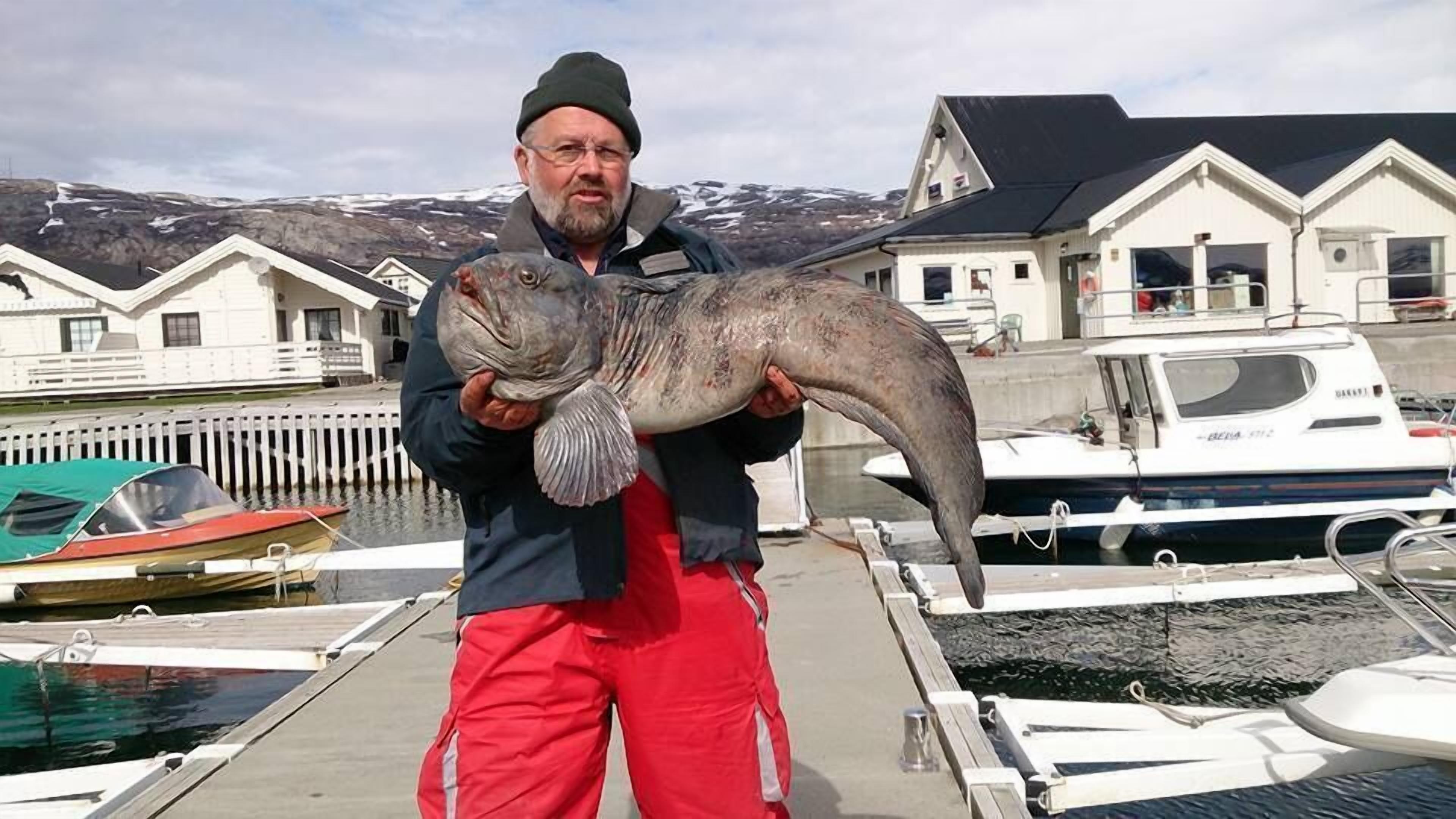 A man holding a large fish on a dock with boats and houses in the background.