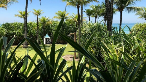 Ein tropischer Garten mit Palmen und einem kleinen Bauwerk.
