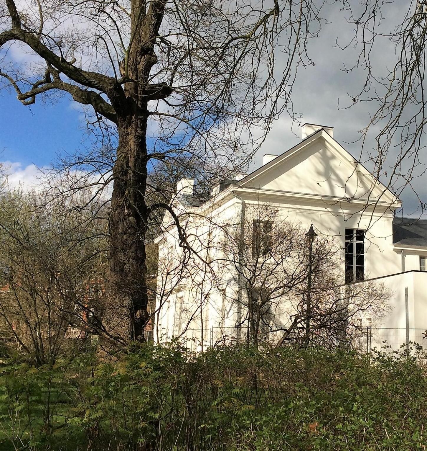 A white building with a symmetrical facade, large windows, and a prominent tree in the foreground.