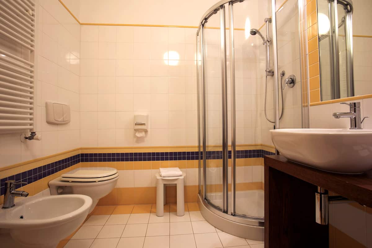 Shower, free toiletries, hair dryer, slippers