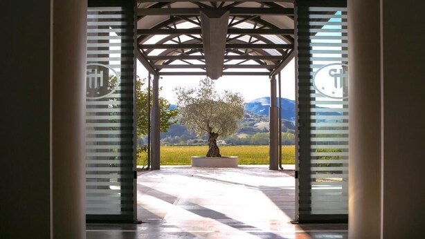 An entrance with a glass door leading to a covered outdoor area with a tree and a view of the countryside. - Hotel PentHouse (Perugia)