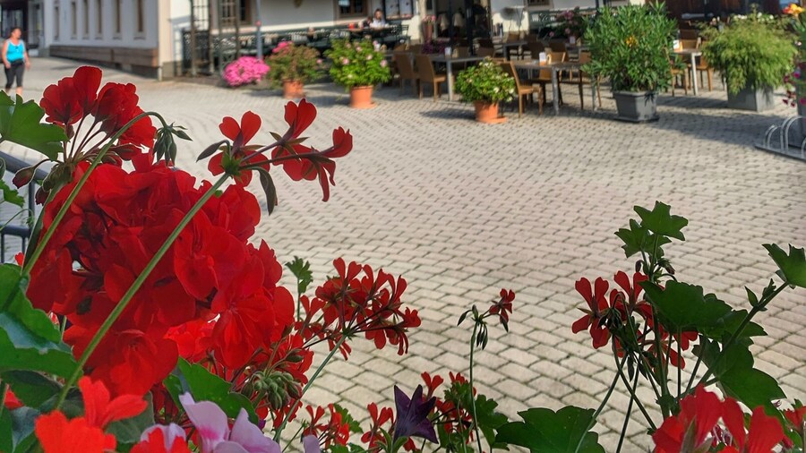 Hotel Bechlwirt