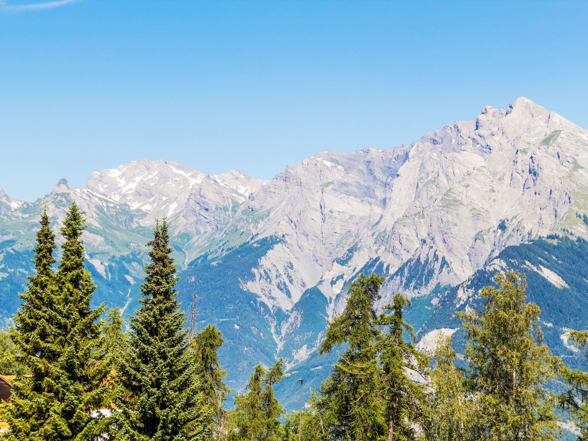 Un paysage de montagne avec des sommets enneigés et une forêt dense au premier plan.