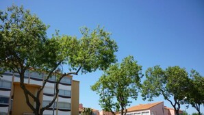 A modern building with balconies, surrounded by trees and a clear sky.