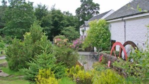 A garden with various plants and a stone wall. - Lorn Mill by Interhome (Balloch)