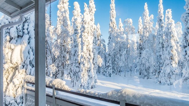 A snow-covered landscape with a wooden fence and snow-laden trees.