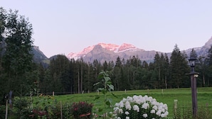 A garden with a variety of plants and flowers, a lamppost, and a mountain range in the background.