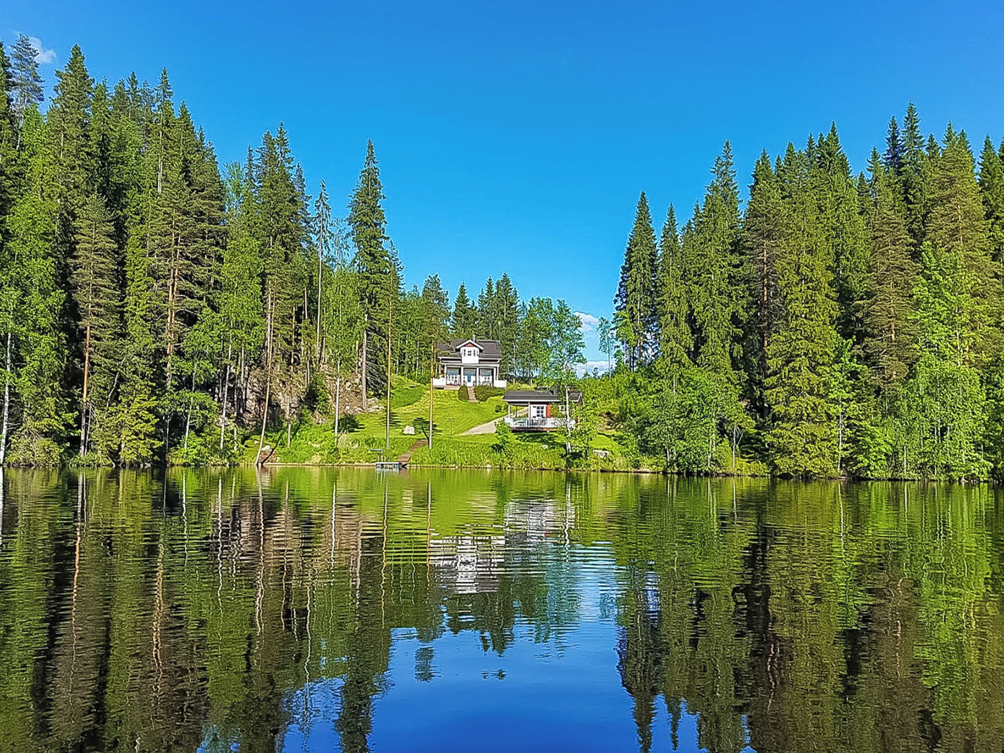 Une propriété au bord d’un lac, avec une maison entourée d’une forêt dense.