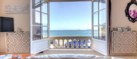 Televisión de pantalla plana