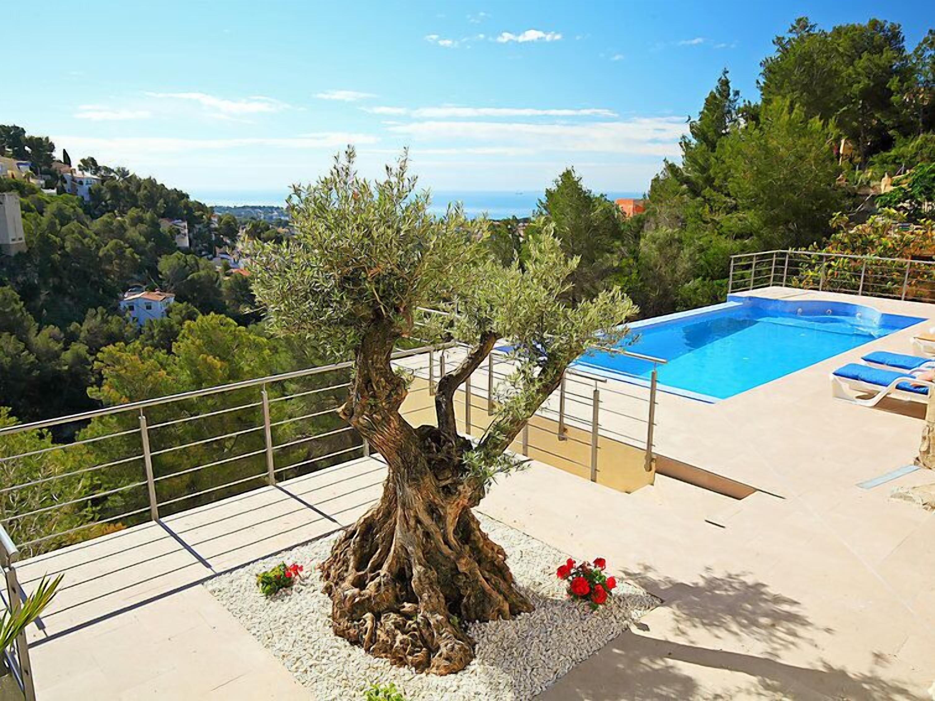 A rooftop pool area with a large tree and a view of the sea.