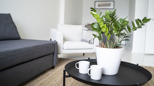 Studio, Stadtblick | Wohnzimmer