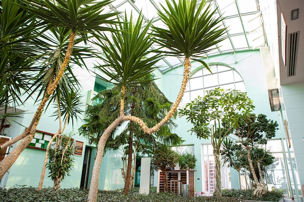 Coin salon dans le hall