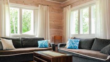 Fernseher, DVD-Player