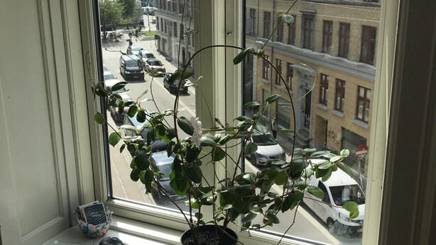 Een raam met een bloempot, een hartvormig object en een klein decoratief item op een vensterbank.