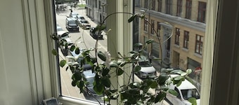 Charming Apartment near by Central Station.